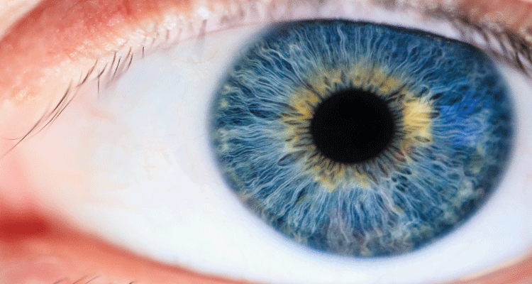 Iris recognition