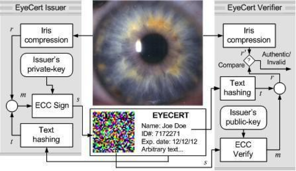 Iris recognition Vskills Blog