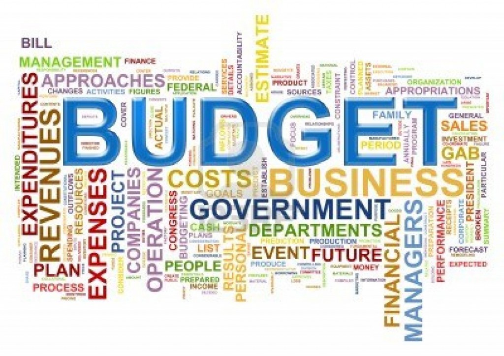 Government Budget