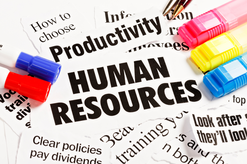 human resource