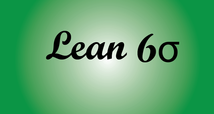 LEAN SIX SIGMA FOR EVERYONE