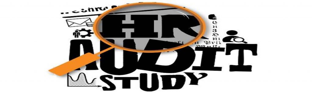 Become a certified HR Audit