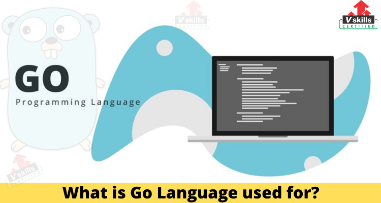 What is Go? Golang Programming Language Meaning Explained