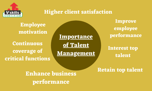 The Importance of Talent Management