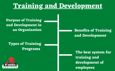 Training and development 