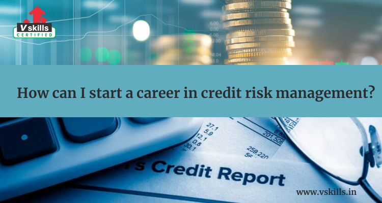 How can I start a career in credit risk management