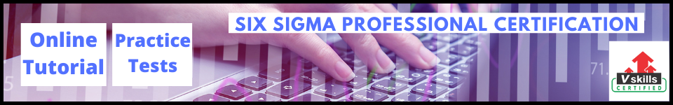 six sigma professional