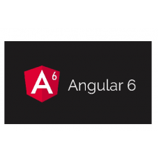 Certified Angular 6 Developer