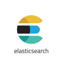 Certified Elasticsearch Professional