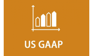 Certified US GAAP Professional