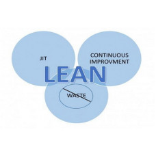 Certified Lean Basics Professional