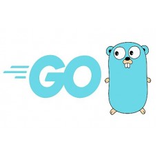 Certified Golang Professional