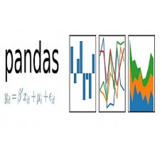 Certified Pandas Professional