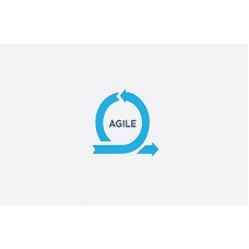 Certified Agile Testing Professional