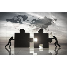 Certified Merger and Acquisition Analyst