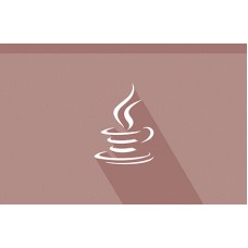 Certified Core Java Developer