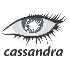 Certified Apache Cassandra Professional