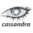 Certified Apache Cassandra Professional