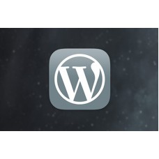 Certified Wordpress Developer