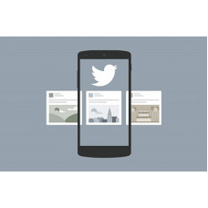 Certified Twitter Apps Developer