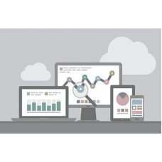 Certified Business Intelligence Professional