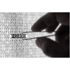 Certificate in White Hat Hacking