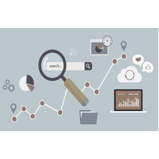 Certified Search Engine Optimization Professional
