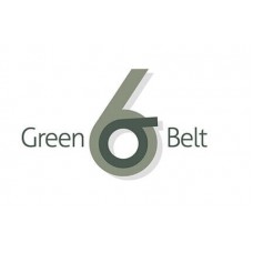 Certified Six Sigma Green Belt Professional
