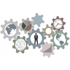 Certified Services Marketing Manager