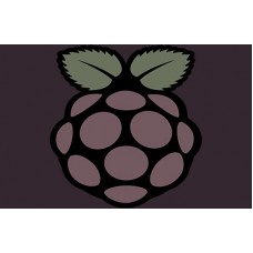 Certified Raspberry Pi Professional