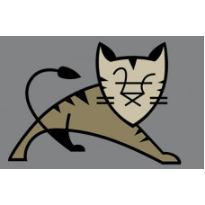 Certified Tomcat Server Professional