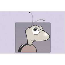 Certified Bugzilla Testing Professional