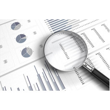 Certified Financial Valuation Analyst