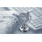Certified Corporate Finance Analyst