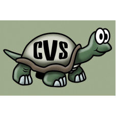 Certified CVS Professional