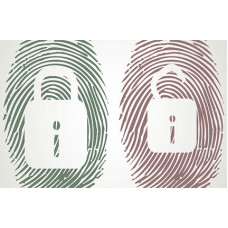 Certified Network Security Open Source Software Developer