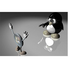 Certified Linux and Windows Integration Professional