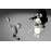 Certified Linux and Windows Integration Professional