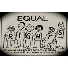 Certified Human Rights Law Professional