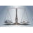 Certified Media Law Analyst