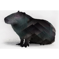 Certified Capybara Testing Professional