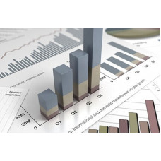 Certified Business Analytics Professional