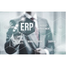 Certified ERP Manager