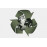 Certified Environmentalist