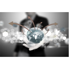 Certified International Marketing Analyst