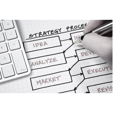 Certified Corporate Strategy Professional