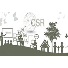 Certified Corporate Social Responsibility Professional