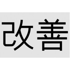 Certified Kaizen Professional