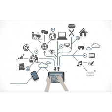 Certified Internet of Things Security Professional