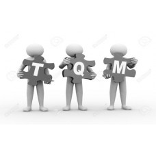 Certified TQM Professional